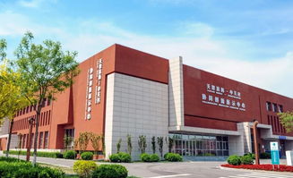 信朗科技“经济体检报告”解读 数据背后的增长密码与未来航向